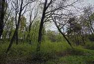 Naturjuwel im Südburgenland