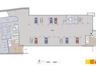 Zwischen Nationalpark und U2 - Mittendrin im Grünen