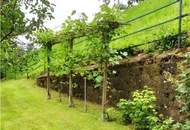 Prestige-Villa in Wien-Mauer – 15 Zimmer, 3.700 m² Gartenparadies, vielseitig nutzbar -Büro &amp; Wohnen vereinbaren!!