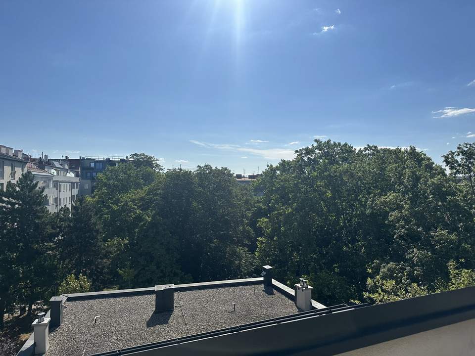 Blick über die Dächer Wien, ums Eck der Schwendermarkt.