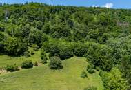 Großzügige Waldfläche nahe Thalersee