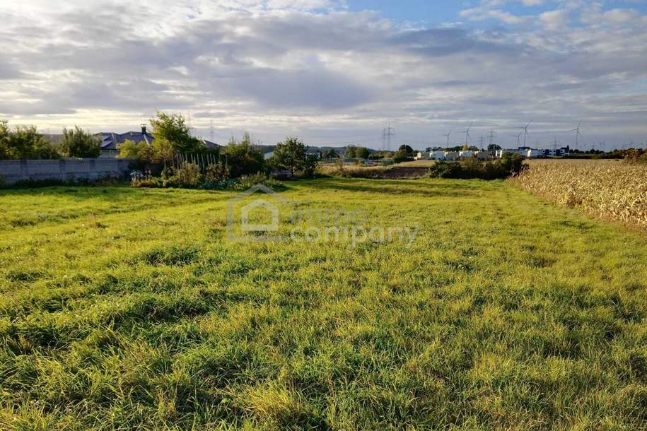 Baugrundstück in Grünruhelage - wunderbarer Fernblick!, Grund und Boden-kauf, 369.000,€, 7111 Neusiedl am See