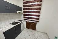 Altbauwohnung mit Potenzial im EG – 1 Zimmer, sanierungsbedürftig nahe Unfallkrankenhaus Wien Lorenz Böhler