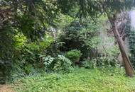 Tradition trifft Vision - Preis reduziert -sanieren & Werte schaffen