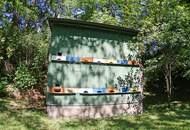 Uriges Landhaus - Traumlage - plus Pool - Grundfläche 1.594 m² - Renovierung und Schönheitsreparaturen sind erforderlich, dennoch sofort beziehbar!