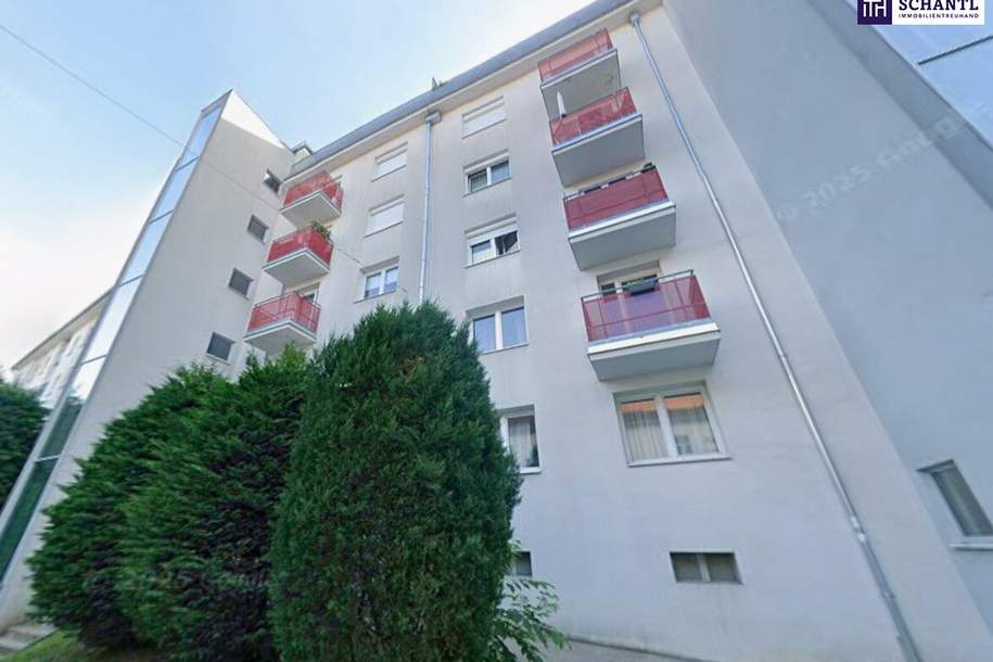 BESTE LAGE IN GRAZ! Großzügige Anlegerwohnung mit Altmieter in Grazer Bestlage – attraktives Entwicklungspotenzial!, Wohnung-kauf, 265.740,€, 8010 Graz(Stadt)