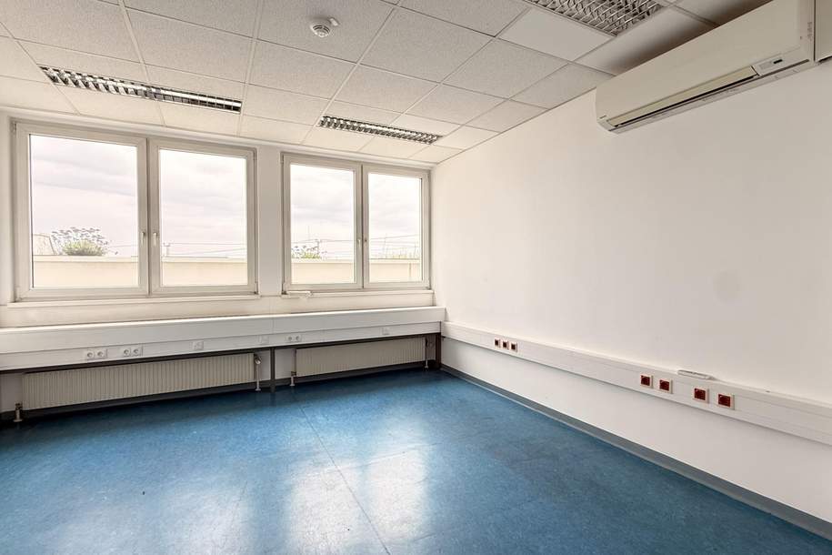 Single-Büro mit Gemeinschaftsflächen im CONCORDE BUSINESS PARK, Gewerbeobjekt-miete, 280,80,€, 2320 Bruck an der Leitha
