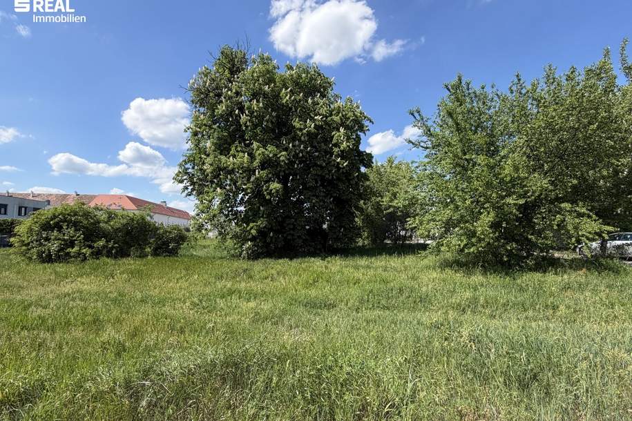Wohnen nahe dem Neusiedler See - ruhige Lage - zentrumsnah, Grund und Boden-kauf, 228.400,€, 7100 Neusiedl am See