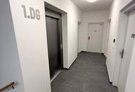 Neubau-Erstbezug - 1 Zimmer mit Außenfläche und sehr großer Gemeinschaftsterrase ca. 60 m² - unweit der U2 Station Stadlau