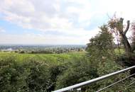 Eigengrund: Grünland mit Gartenhaus - Großes Grundstück in Mauer am Kadoltsberg - direkt am Lainzer Tiergarten