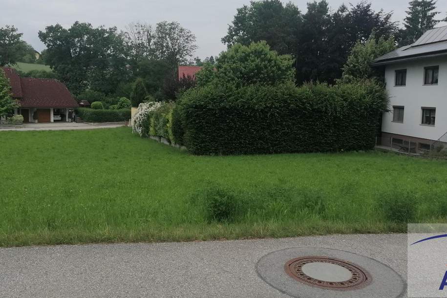 Wunderschönes und sehr großes Grundstück in Toplage!, Grund und Boden-kauf, 4616 Wels-Land