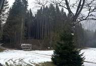 GROSSZÜGIGES LANDHAUS IN TOPZUSTAND BEI MÜRZSTEG