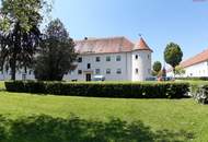 Neu, modern &amp; einzigartig - Wohnen mit Charakter in Steyr Münichholz! Umfassend sanierte 2 Zimmer-Wohnung mit außergewöhnlichem Grundriss, praktischem Abstellraum und Luxus-Badezimmer mit ebenerdiger Dusche!