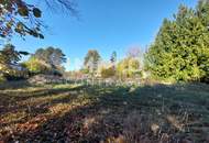 Attraktives Bauträgergrundstück in Ulrichskirchen – 3.560 m² Bauland in ruhiger Siedlungslage