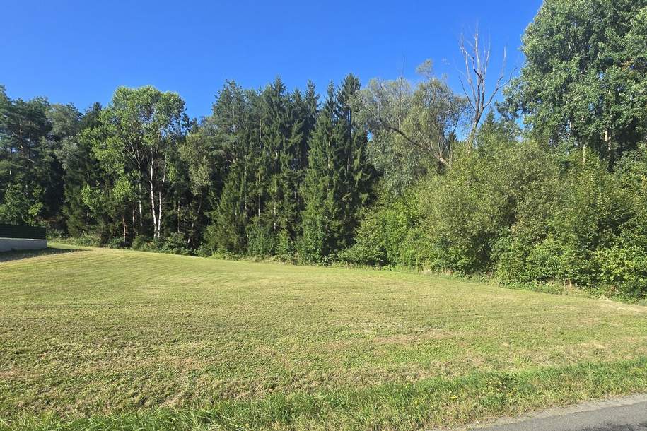 Exklusives, ebenes Baugrundstück mit ca. 1.375 m² – Raum für Visionen und Lebensqualität, Grund und Boden-kauf, 75.000,€, 8292 Hartberg-Fürstenfeld
