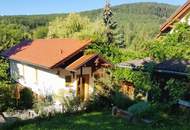 Ihre Liegenschaft mit soviel Wald! Errichten Sie hier Ihr Traumhaus!