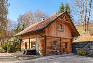 Wunderschönes Holzhaus am Berg mit Panorama
