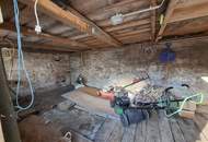 Charmantes Einfamilienhaus mit Garten und Balkon in Wilhelmsburg