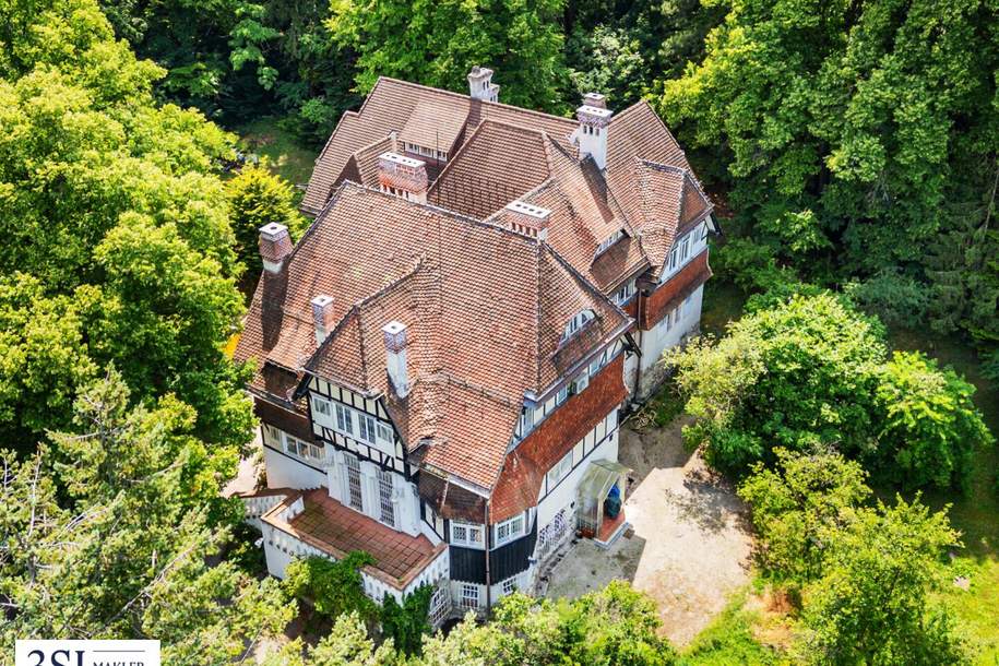 Exklusive Liegenschaft mit zwei Villen und großem Privatpark in Mödling, Haus-kauf, 2340 Mödling