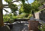 Extravagantes Wohnen in herrlicher Lage am linken Donauufer in Urfahr