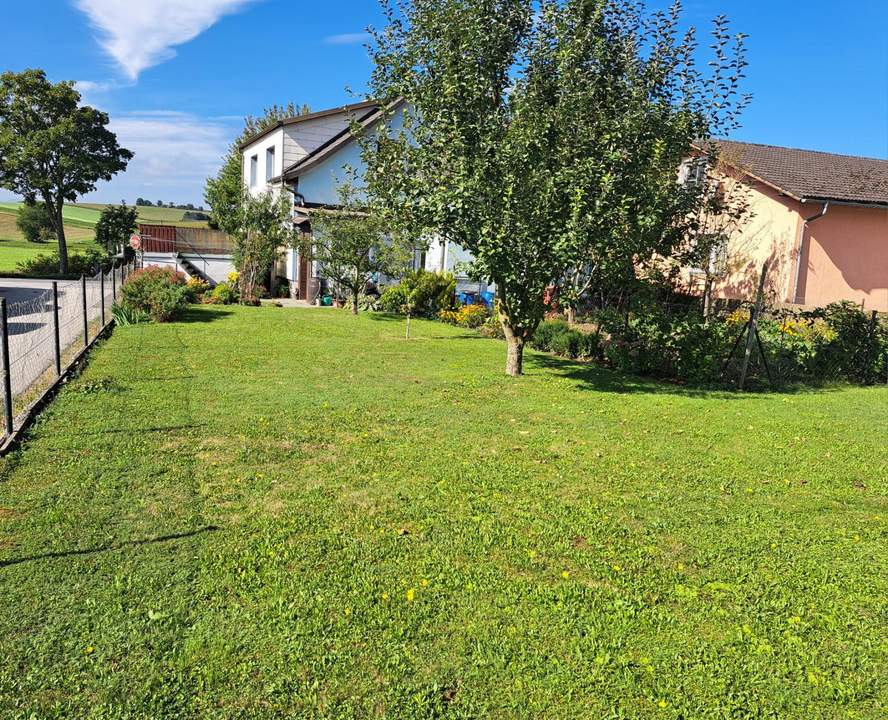 NOCH HEUER EIN EIGENES HAUS BESITZEN?