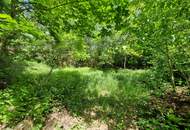 ZWEI WOHNHÄUSER - TRAUMHAFTER BUNGALOW UND KLEINES SOMMERHAUS SAMT PARKÄHNLICHEM GARTEN MIT HERRLICHEM ALTBAUMBESTAND