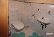 Außergewöhnliches Mehrfamilienhaus mit 331 m² WFL, Balkon, Loggia & 4 Garagen, Pool und Gartenhaus