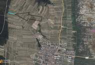 Wiese in Mörbisch, Blick über den ganzen Neusiedler See: 1219m²