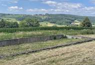Bad Waltersdorf: Weinberge, Ackerflächen und Wald für experimentierfreudige Winzer oder Landwirte mit Vision