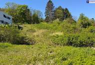 Sonnige Liegenschaft mit Entwicklungspotenzial in Klosterneuburg