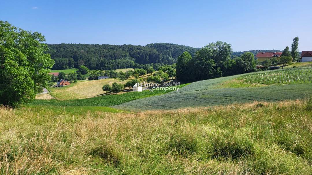 Sonniges Baugrundstück in Kirchberg an der Raab – Natur pur & Weitblick inklusive!