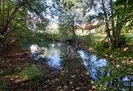 Architektenhaus -Barrierefreies Niedrigenergiehaus auf über 2 ha Grund