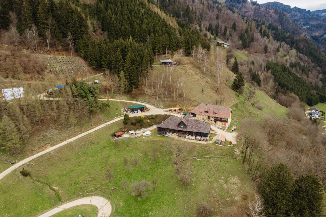 Paradies für Selbstversorger: Landwirtschaft mit Bauernhaus und eigener Quelle in absoluter Ruhelage