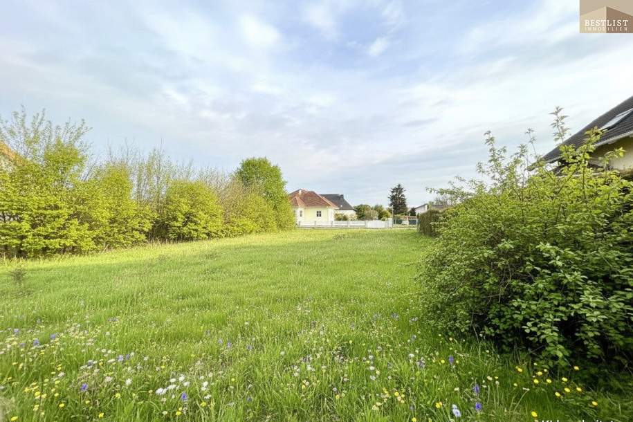 Ihr Traum vom Eigenheim - Bauland in Pottendorf, Grund und Boden-kauf, 279.900,€, 2486 Baden