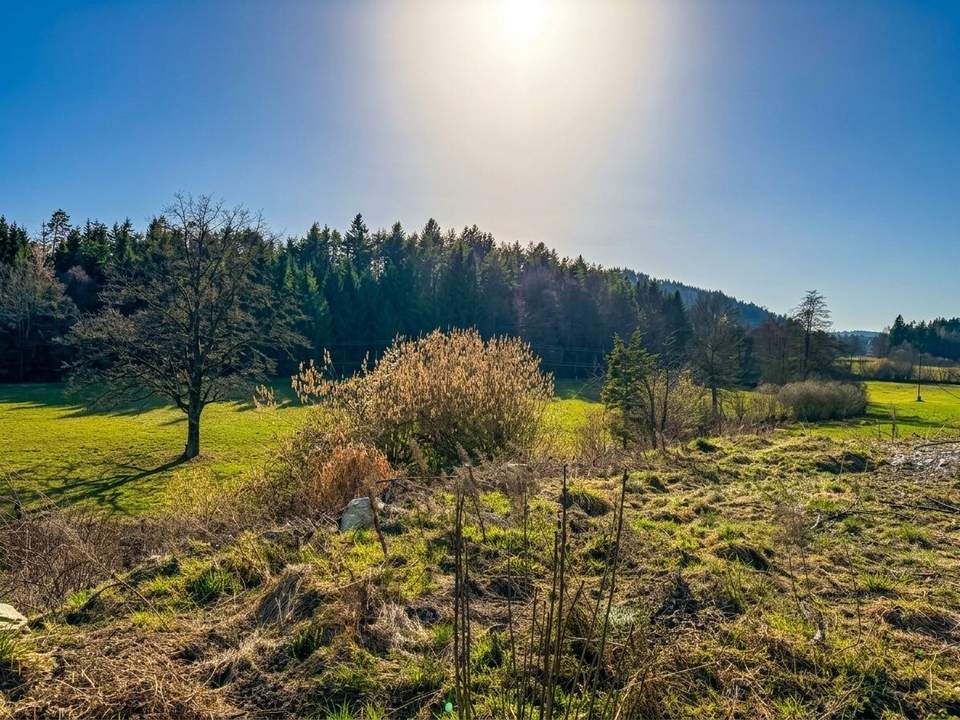 Von Bungalow bis Bauträger - Baugrundstücke in sonniger Lage