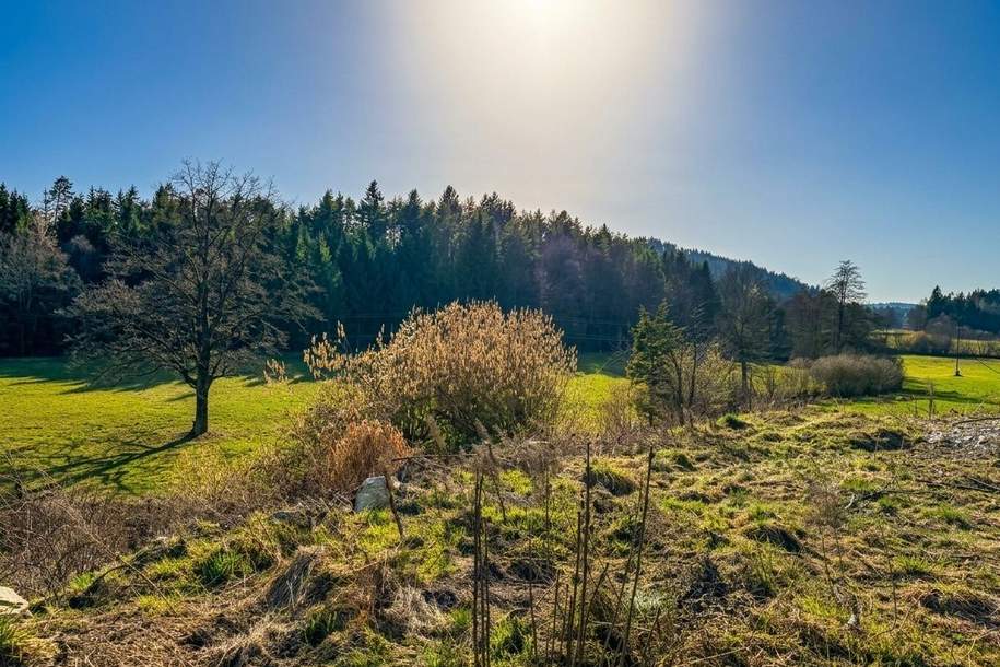 Von Bungalow bis Bauträger - Baugrundstücke in sonniger Lage, Grund und Boden-kauf, 150.000,€, 9220 Villach Land