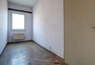 GIGANTISCH gesucht? HIER RICHTIG