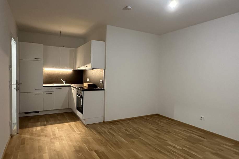HERRLICHE Neubauwohnung mit Balkon im 1. Obergeschoss – Erstbezug mit exklusiver Ausstattung, Tischlerküche und Tiefgaragenplatz., Wohnung-miete, 889,90,€, 8401 Graz-Umgebung