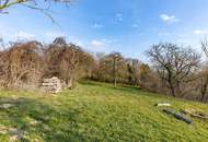 EINZIGARTIGE GELEGENHEIT! BAUERNHOF MIT 9789 m² LANDWIRTSCHAFT & 2421 m² WEINGARTEN! FÜR NATURFREUNDE & TIERLIEBHABER!