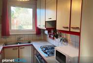 Den Frühling bereits im neuen Zuhause genießen