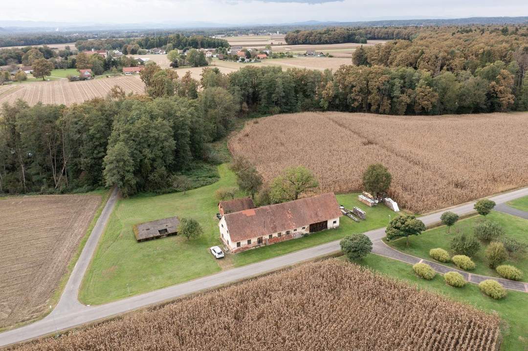 Älteres Bauerngehöft mit 2,6 Hektar umliegenden Wiesen und Waldgrund - Verdoppelung möglich - alter Rohbaukeller vorhanden