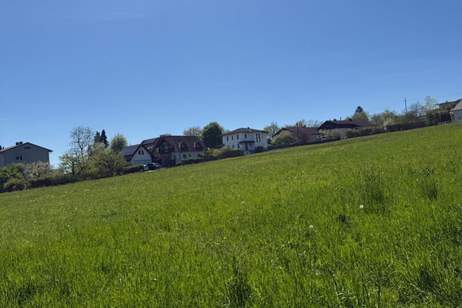 DOPPELHÄUSER in ZIMMERMEISTERQUALITÄT (ab 109 m² bis 140 m²) - nachhaltig leben im Marktort Neuhofen an der Krems, Haus-kauf, 443.720,€, 4501 Linz-Land