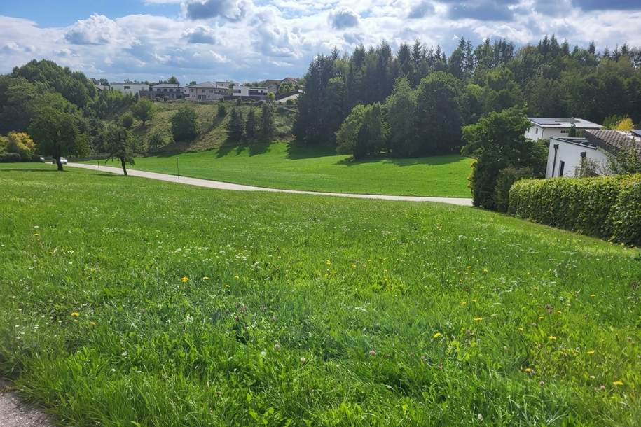 Baugrundstück ohne Bauverpflichtung in schöner Aussichtslage, Grund und Boden-kauf, 105.120,€, 4680 Grieskirchen