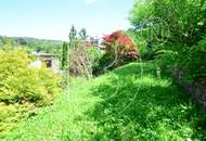 Schöner Baugrund mit Fernsicht in Grünruhelage!