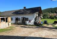 PFERDERANCH IN DER GRÜNEN STEIERMARK! Ihr Paradies auf dem Land: Charmanter Reiterhof in traumhafter Lage!
