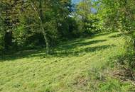 Wohnen im Grünen in Hanglage - Baugrundstück Weinitzen (Provisionsfrei)