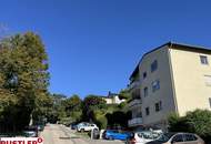 Wohnen zwischen den Schirmföhren mit Blick zum Husarentempel