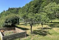 Das Paradies ist hier.....