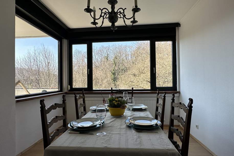 Großzügige Wohnung mit Loggia, Swimmingpool und Garagen in top Lage, Wohnung-kauf, 650.000,€, 1180 Wien 18., Währing