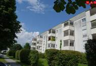 Entspanntes Wohnerlebnis in leistbarer 3-Raum-Wohnung mit sonniger Terrasse - grüne Lage und ausgewählte Nachbarschaft inklusive!